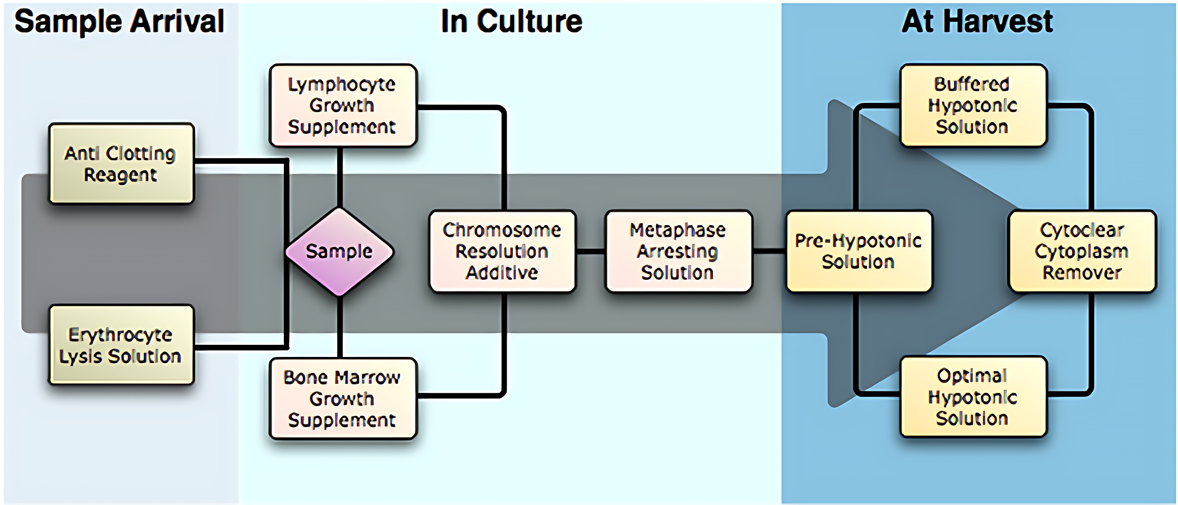 procell diagram